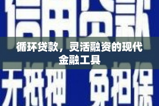 大武循环贷款，灵活融资的现代金融工具