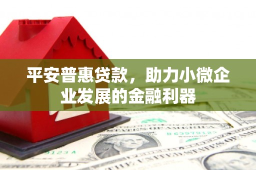 大武平安普惠贷款，助力小微企业发展的金融利器