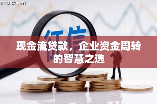 大武现金流贷款，企业资金周转的智慧之选