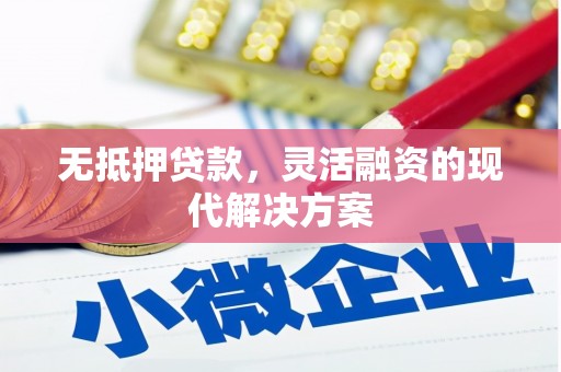 大武无抵押贷款，灵活融资的现代解决方案