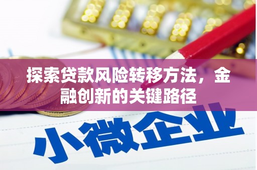 大武探索贷款风险转移方法，金融创新的关键路径