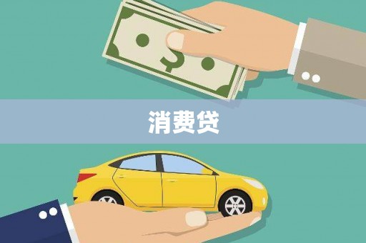 大武消费贷
