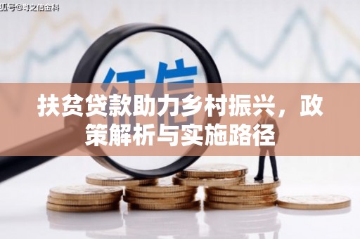 大武扶贫贷款助力乡村振兴，政策解析与实施路径