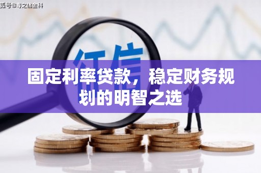 大武固定利率贷款，稳定财务规划的明智之选