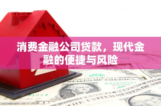 大武消费金融公司贷款，现代金融的便捷与风险