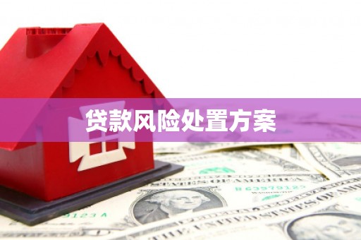 大武贷款风险处置方案