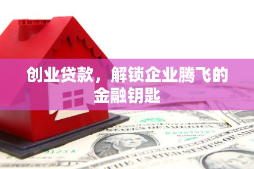 大武创业贷款，解锁企业腾飞的金融钥匙