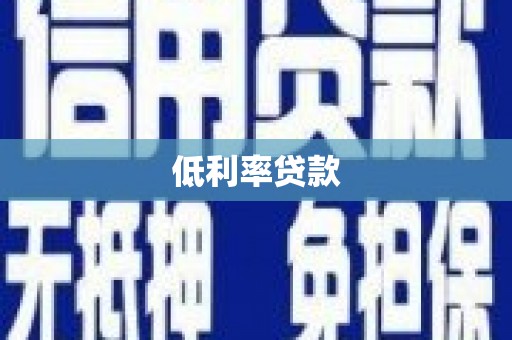大武低利率贷款