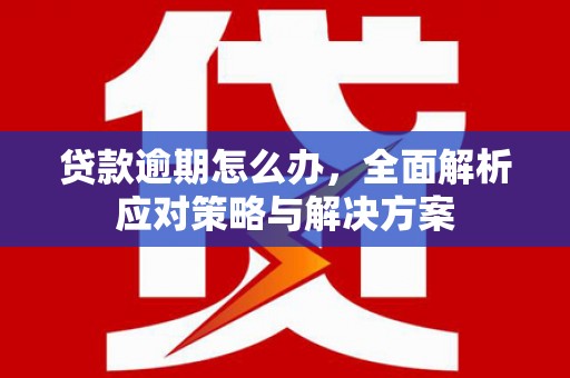 大武贷款逾期怎么办，全面解析应对策略与解决方案