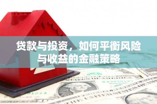 大武贷款与投资，如何平衡风险与收益的金融策略