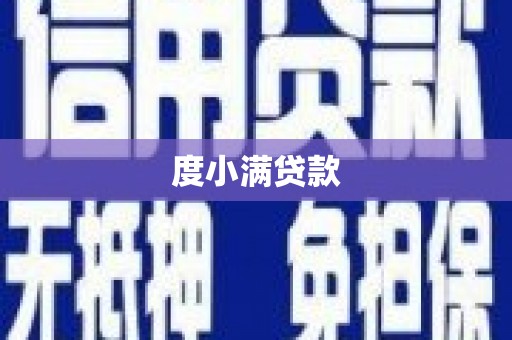 大武度小满贷款
