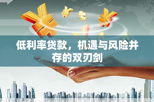 大武低利率贷款，机遇与风险并存的双刃剑