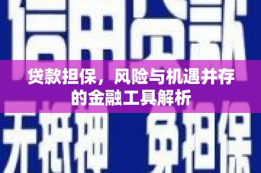 大武贷款担保，风险与机遇并存的金融工具解析