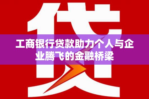 大武工商银行贷款助力个人与企业腾飞的金融桥梁