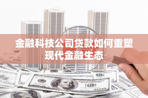 大武金融科技公司贷款如何重塑现代金融生态