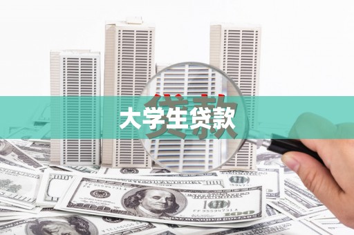 大武大学生贷款