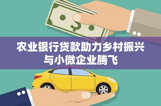 大武农业银行贷款助力乡村振兴与小微企业腾飞