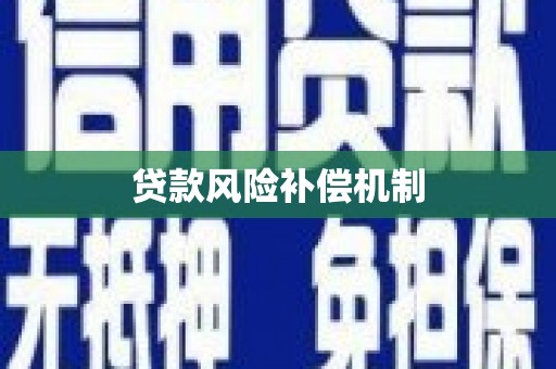 大武贷款风险补偿机制