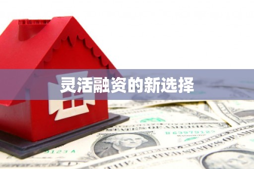 大武灵活融资的新选择