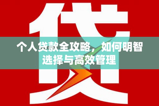 大武个人贷款全攻略，如何明智选择与高效管理