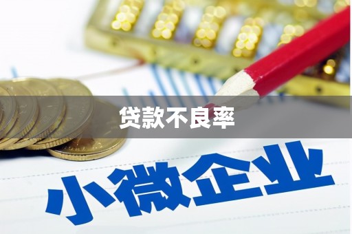 大武贷款不良率