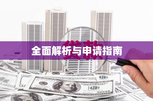 大武全面解析与申请指南