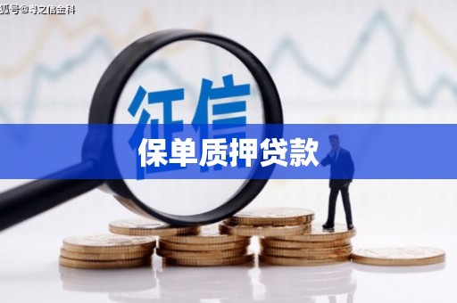 大武保单质押贷款