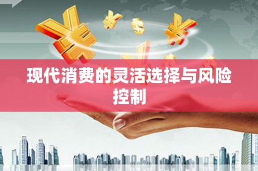 大武现代消费的灵活选择与风险控制