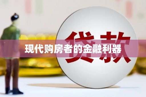 大武现代购房者的金融利器