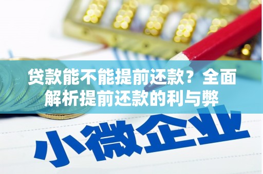 大武贷款能不能提前还款？全面解析提前还款的利与弊
