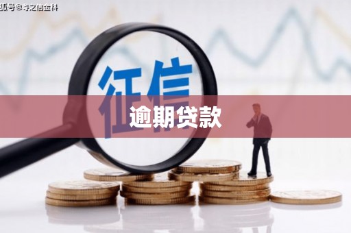 大武逾期贷款
