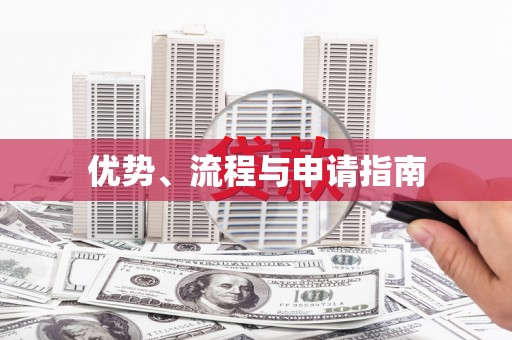 大武优势、流程与申请指南