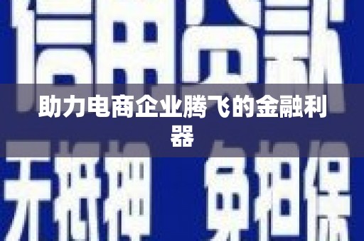 大武助力电商企业腾飞的金融利器