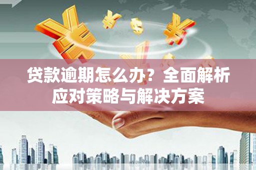 大武贷款逾期怎么办？全面解析应对策略与解决方案