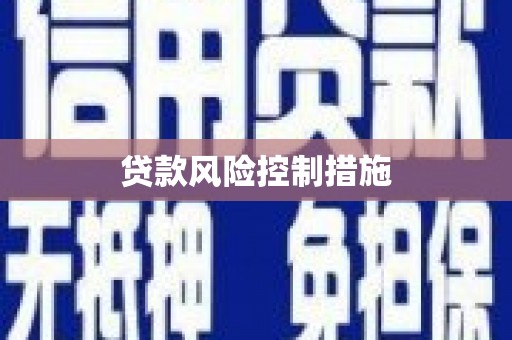 大武贷款风险控制措施