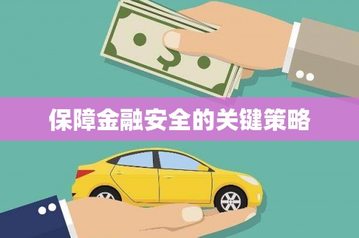 大武保障金融安全的关键策略