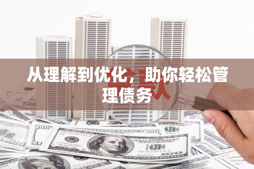 大武从理解到优化，助你轻松管理债务