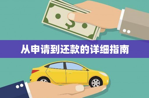 大武从申请到还款的详细指南