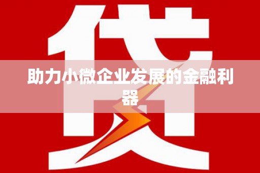 大武助力小微企业发展的金融利器
