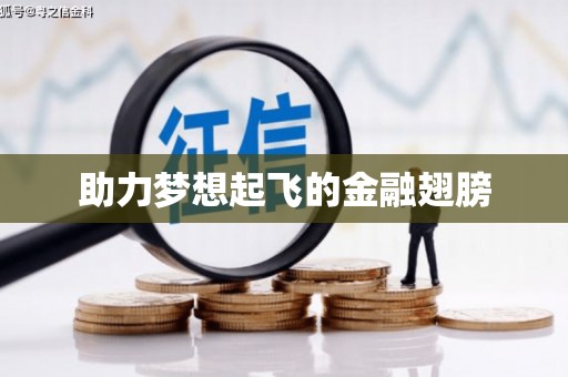 大武助力梦想起飞的金融翅膀
