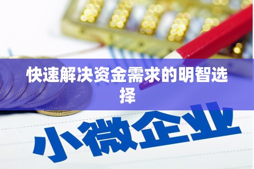 大武快速解决资金需求的明智选择