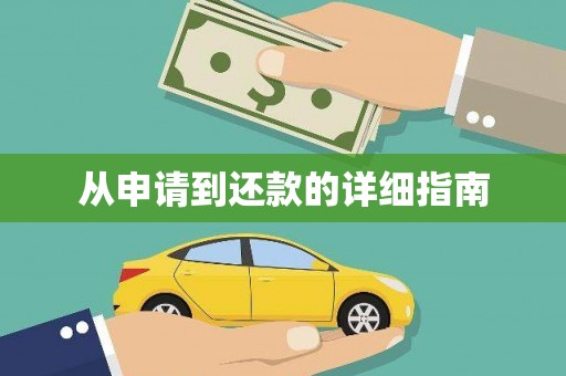大武从申请到还款的详细指南