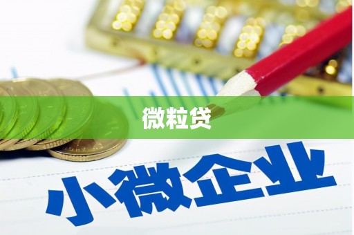 大武微粒贷