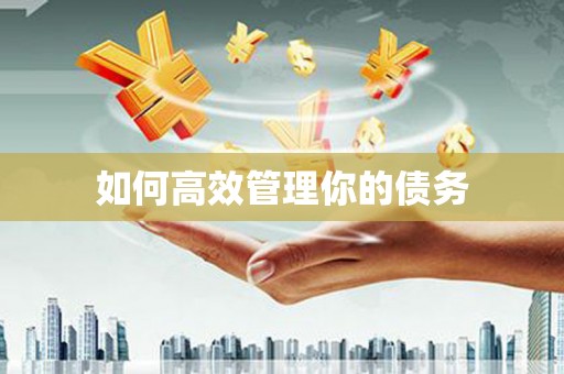 大武如何高效管理你的债务