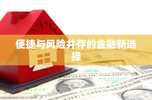大武便捷与风险并存的金融新选择