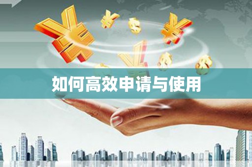 大武如何高效申请与使用
