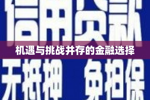 大武机遇与挑战并存的金融选择