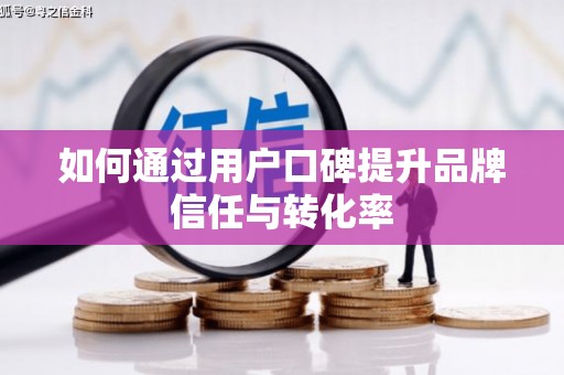 大武如何通过用户口碑提升品牌信任与转化率