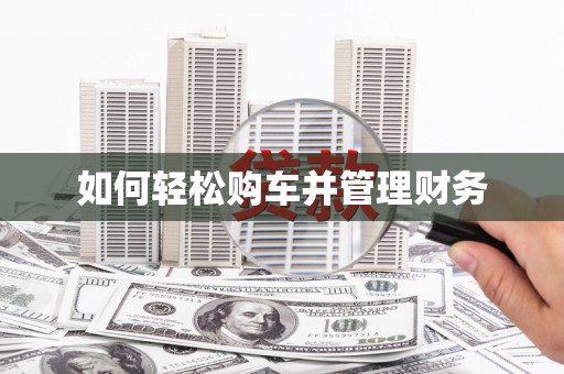 大武如何轻松购车并管理财务