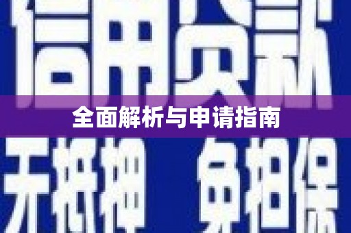 大武全面解析与申请指南